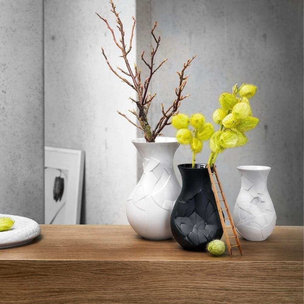 Rosenthal Vase Phase – Speranza Design Gallery