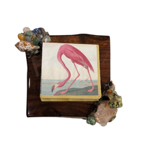 Coastal Cocktail Napkin Holder