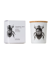 Candle in Jar INSECT Wood Wick 75gr