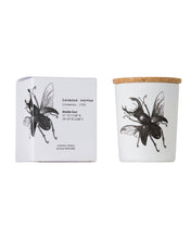 Candle in Jar INSECT Wood Wick 75gr