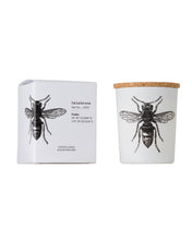 Candle in Jar INSECT Wood Wick 75gr