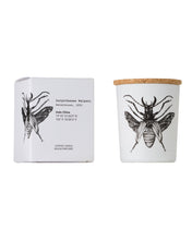 Candle in Jar INSECT Wood Wick 75gr