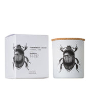 Candle in Jar INSECT  Wood Wick 190gr
