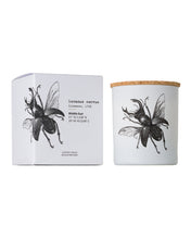 Candle in Jar INSECT  Wood Wick 190gr