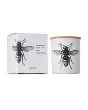 Candle in Jar INSECT  Wood Wick 190gr