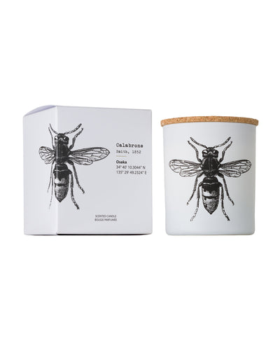 Candle in Jar INSECT  Wood Wick 190gr