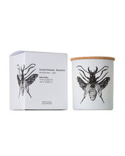 Candle in Jar INSECT  Wood Wick 190gr