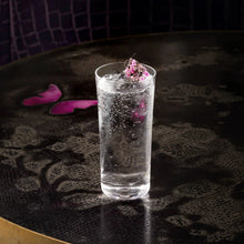 Savage Set of 4 High Ball Glasses