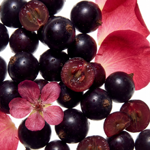 Rose & Black Currant Eau de Parfum