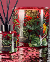Candle in Jar JUNGLETOPIA 650gr 12x12 Leopard Savage Africa 4.92 diam. x 4.92 in