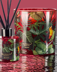 Candle in Jar JUNGLETOPIA  650gr