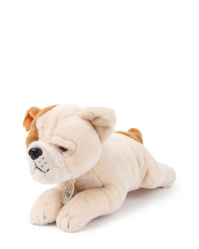 Plush BT CHAPS in Giftbox 6.5