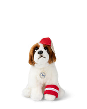 Plush BT CHAPS DOLLY THE RAGDOLL 12.5"