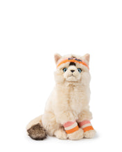 Plush BT CHAPS DOLLY THE RAGDOLL 12.5"