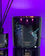 Candle in Jar JUNGLETOPIA  650gr