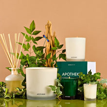 Wild Mint and Ivy Votive Candle