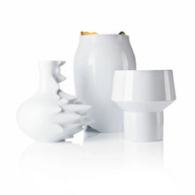 Rosenthal Fast Vase 30 cm (12")