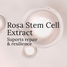 Rose Revitalizing Treatment Mask 3.0