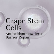 Grape Revitalizing Treatment Mask 3.0