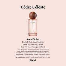 Caché - Cèdre Céleste