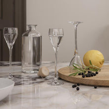 Holmegaard Perfection Shot Glass, Clear, 1.9 Oz, 6 Pcs.