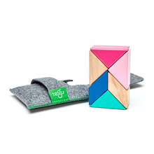 Pocket Pouch Prism Magnetic Wooden Blocks 6 pieces