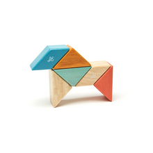 Pocket Pouch Prism Magnetic Wooden Blocks 6 pieces