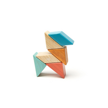 Pocket Pouch Prism Magnetic Wooden Blocks 6 pieces
