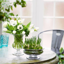 Holmegaard Old English Vase, Clear, H: 7.5"