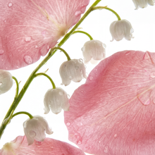 Rose & Muguet Eau de Parfum