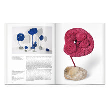 Yves Klein (English)