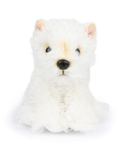 Plush BT CHAPS TIMOTHY THE SCOTTISH TERRIER in Giftbox 6.5"