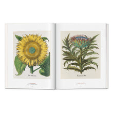 A Garden Eden. Masterpieces of Botanical Illustration (German, French, English)
