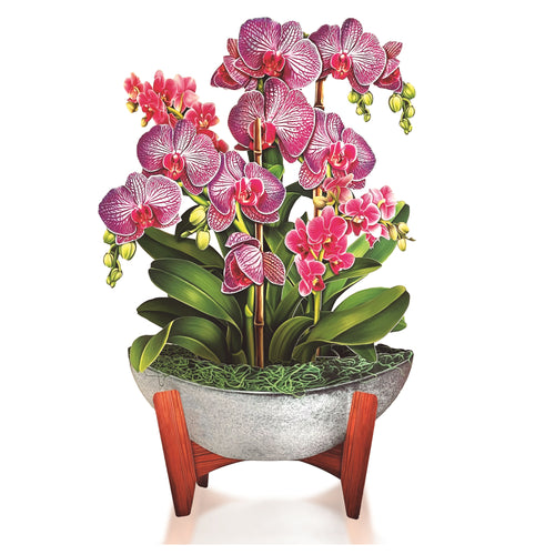 3-D Pop-Up Greeting Card Orchid Oasis