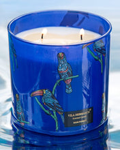 Candle in Jar JUNGLETOPIA  650gr