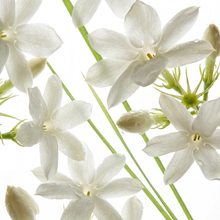 Green Grass & Jasmine Eau de Parfum