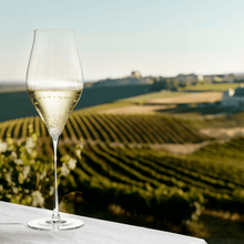 Holmegaard Notes Champagne Glass, Clear, 12.8 Oz, 2 Pcs.