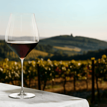 Holmegaard Notes Red Wine Glass, Clear, 27.4 Oz, 2 Pcs.