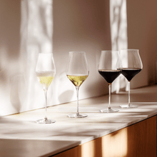 Holmegaard Notes Champagne Glass, Clear, 12.8 Oz, 2 Pcs.