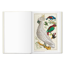 Seba. Cabinet of Natural Curiosities (German, French, English)