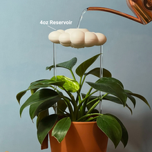 Cory the Cloud Dripping Watering Can