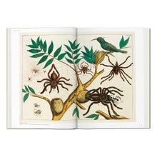 Seba. Cabinet of Natural Curiosities (German, French, English)