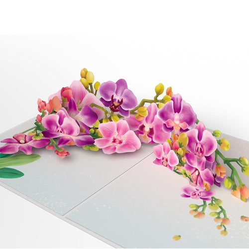 Pop Up Greeting Card Watercolor Orchid