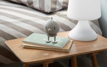 Hoptimist Junior Bumble Ash Matte