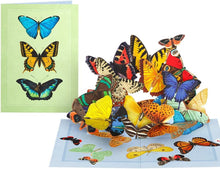 Butterflies in Flight Pop Up Card