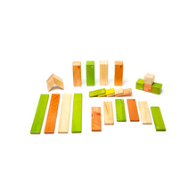 24-Piece Set Magnetic Wooden Blocks Tegu Classics