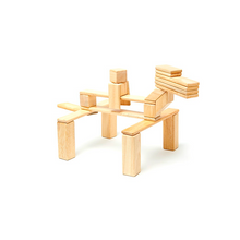 24-Piece Set Magnetic Wooden Blocks Tegu Classics