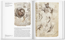 Leonardo (English)