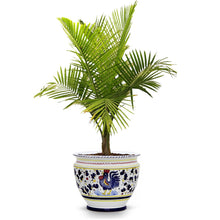 ORVIETO GREEN ROOSTER: Luxury Cachepot Planter Large