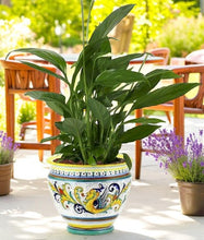 RAFFAELLESCO DELUXE: Luxury Cachepot Planter LARGE